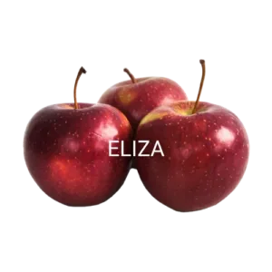 ELIZA